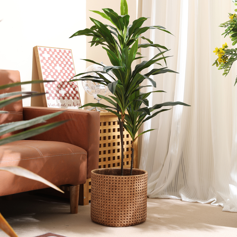 Küçük boyutlu daireler için mo - Furniture Paradise & Hardware Ghaziabad By Owner incelemesi ve fiyatı